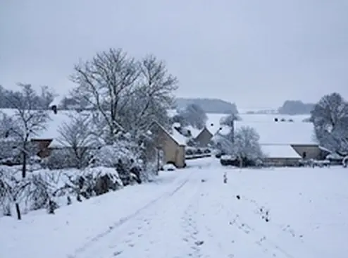Neige